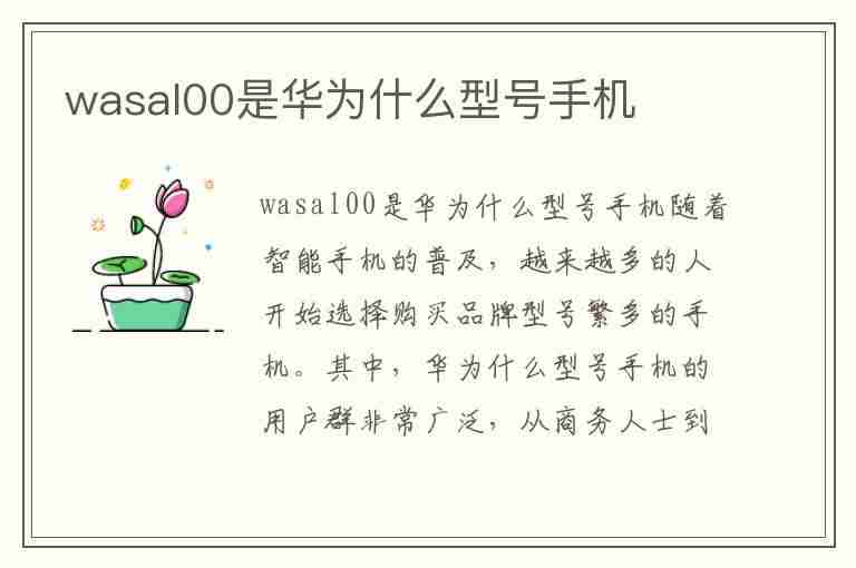 wasal00是华为什么型号手机